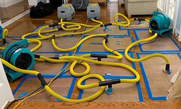 Professional Basement Flood Cleanup technician working in Pelham, TN